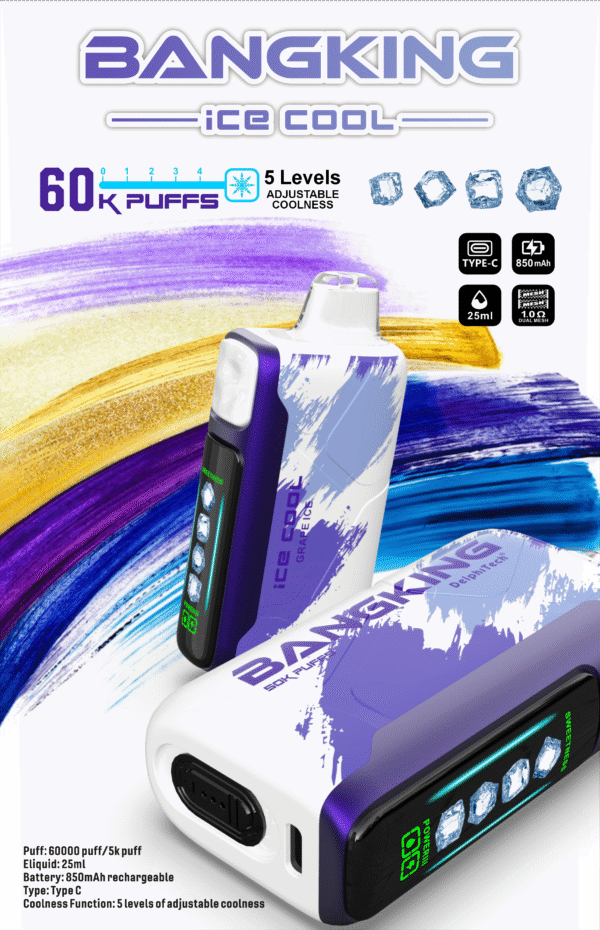 Bang King Ice Cool 60K DSK048 一次性電子煙 台灣現貨 – 60000口超大容量5級可調清涼可充電一次性電子煙推薦 派對解癮神器