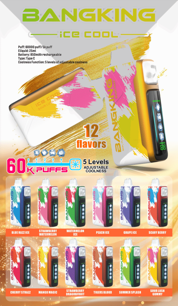 Bang King Ice Cool 60K DSK048 一次性電子煙 台灣現貨 – 60000口超大容量5級可調清涼可充電一次性電子煙推薦 派對解癮神器