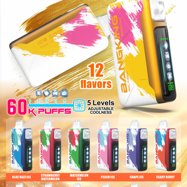 Bang King Ice Cool 60K DSK048 一次性電子煙 台灣現貨 – 60000口超大容量5級可調清涼可充電一次性電子煙推薦 派對解癮神器