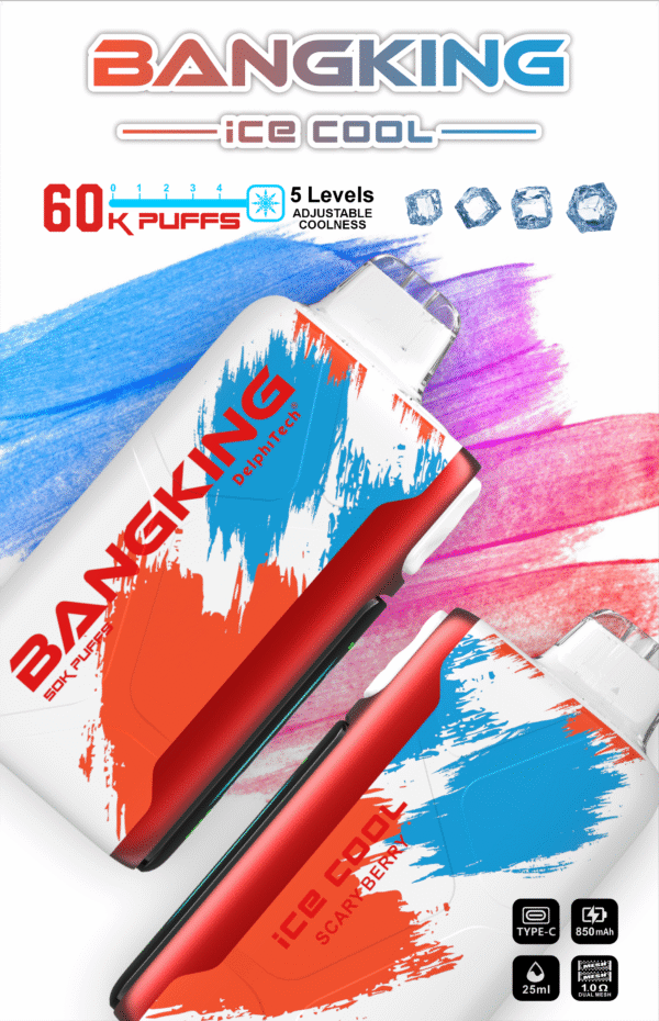 Bang King Ice Cool 60K DSK048 一次性電子煙 台灣現貨 – 60000口超大容量5級可調清涼可充電一次性電子煙推薦 派對解癮神器
