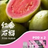 超值活動； 五盒送主機 SP2S MACHINE X 煙彈｜原裝正品替換彈 台灣現貨供應