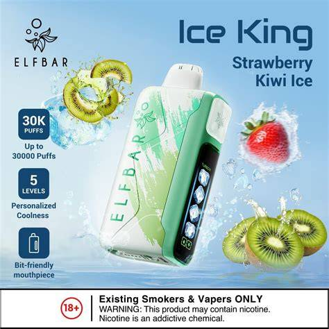 Elfbar 拋棄式電子煙｜台灣現貨 高品質一次性小煙