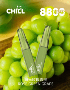選擇 CHILL 拋棄式電子煙？