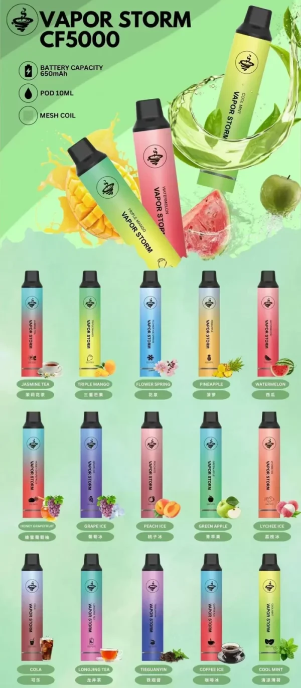 風暴 5000口（買五送一）｜2025最超值大煙量拋棄式電子煙｜台灣玩家公認CP值之王