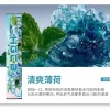 戒菸棒替代品｜不點火、不燃燒，輕鬆舒緩菸癮的實用神器